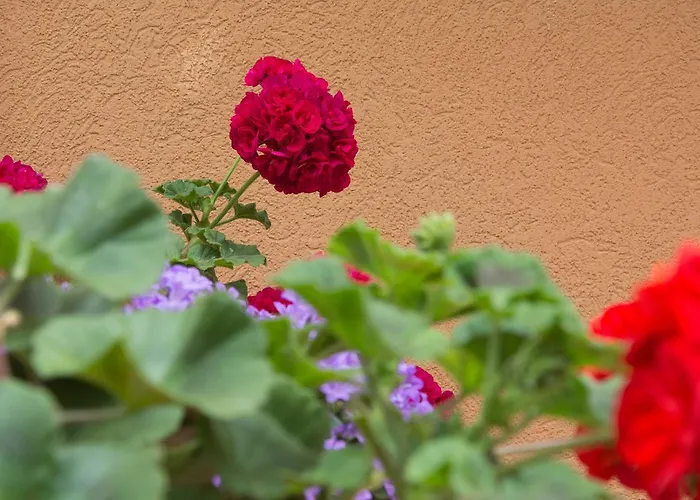 Sunny Complex 아파트호텔